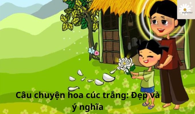 Câu chuyện hoa cúc trắng: Đẹp và ý nghĩa